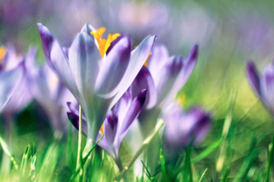 4 Email Marketing Strategies to Test This Spring