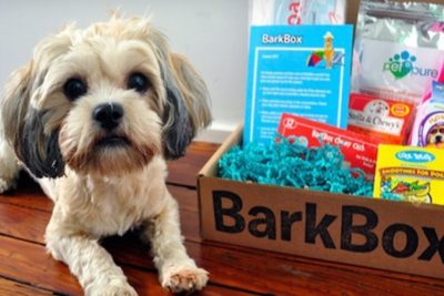 The BarkBox Purchase Email & Unboxing Experience